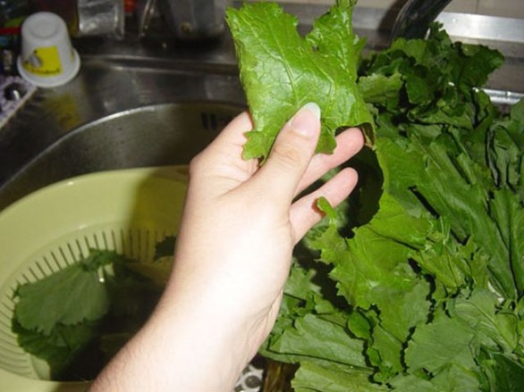 Le cime di rapa stufate con salsiccia con la ricetta rustica