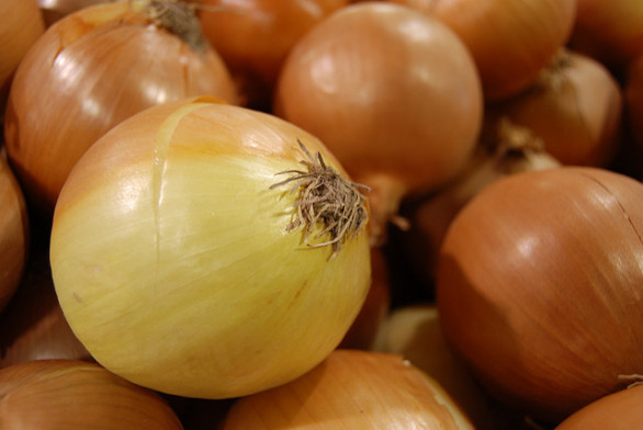 Cipolle bianche al forno gratinate, ecco la ricetta da seguire