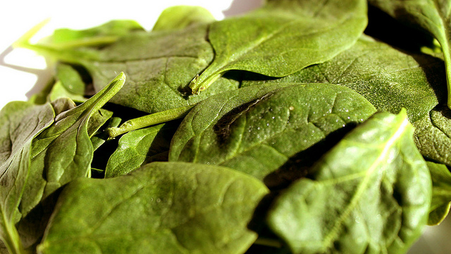 Ecco gli spinaci con besciamella da fare al forno