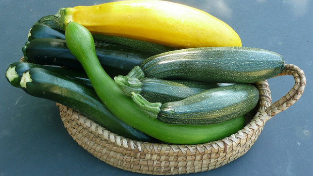 Le 5 ricette per bambini con zucchine, facili e leggere