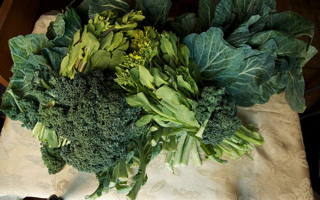 Ecco le cime di rapa e salsiccia in padella con la ricetta facile