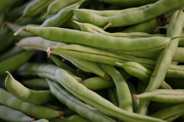 I fagiolini alla pugliese, la ricetta per prepararli in casa