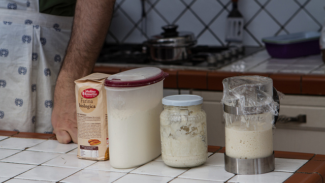 Pasta madre Day, che cos’è e quali sono le ricette per usarla al meglio