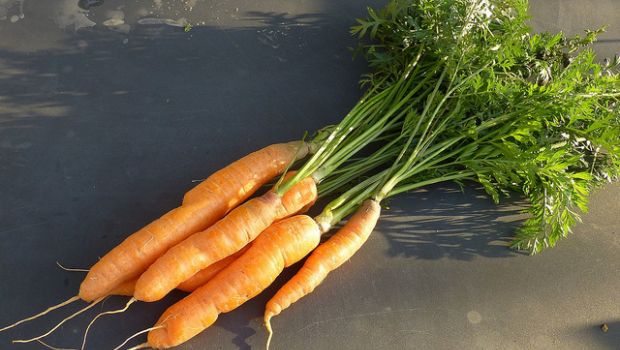 Il purè di carote per bambini: la ricetta veloce e gustosa