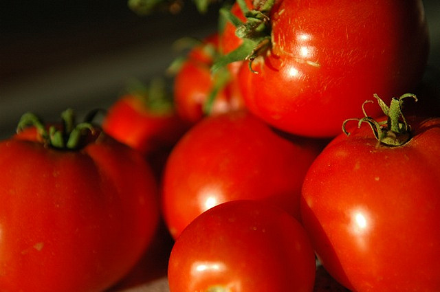 I pomodori ripieni con mollica, ecco la ricetta facile