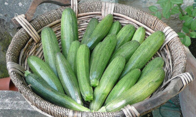 Porri e zucchine in padella, la ricetta del contorno semplice