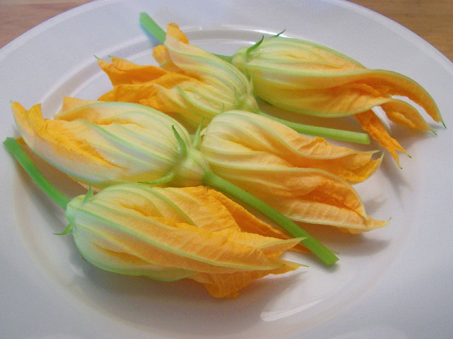 I fiori di zucca al forno vegan, ecco la ricetta facile