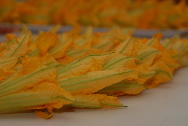 Come fare i fiori di zucca ripieni di ricotta e speck