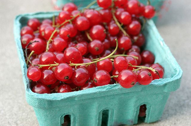 La torta ribes e cioccolato per il dessert facile e goloso