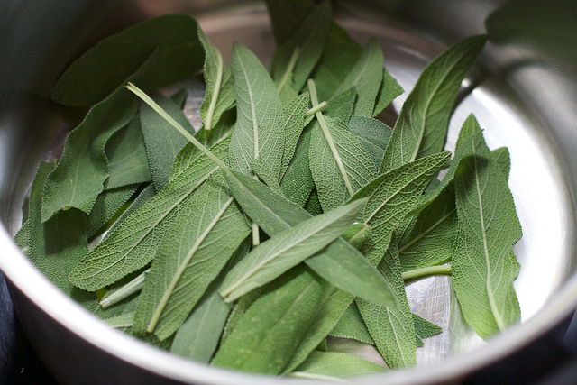 La salvia fritta da provare nella ricetta senza uovo