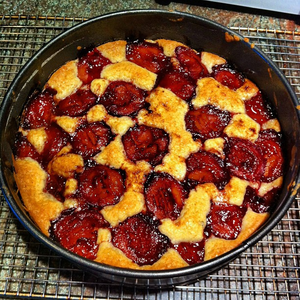 La torta con le susine fresche da provare con la ricetta facile