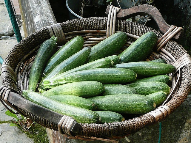 Le zucchine al forno con besciamella e prosciutto per un secondo ricco