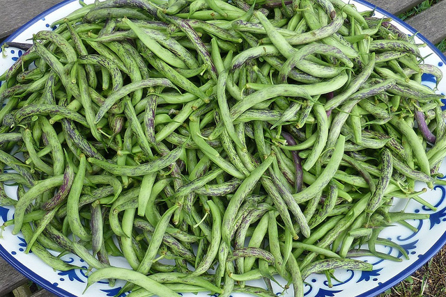 I fagiolini con patate e tonno per un contorno ricco