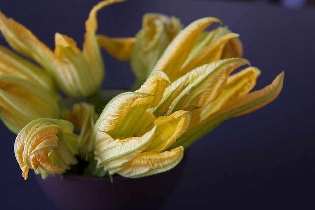 I fiori di zucca in pastella con la ricetta per il Bimby