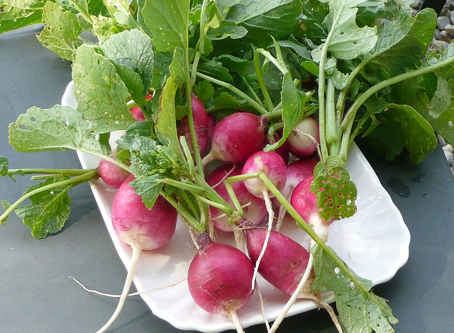 I ravanelli in insalata per un contorno veloce