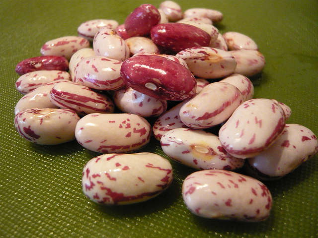 Come preparare i fagioli borlotti al sugo