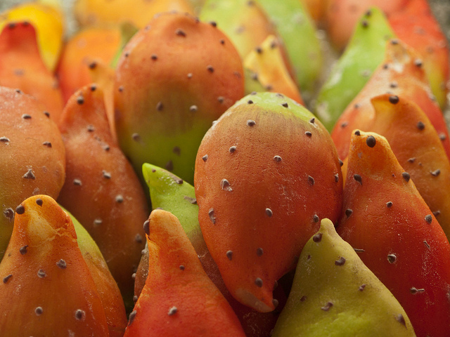 Come preparare la marmellata di fichi d&#8217;india alla siciliana