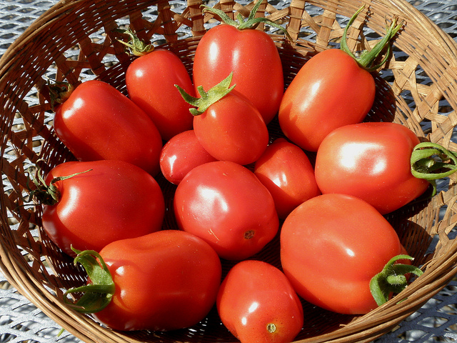 I pomodori alla griglia con pangrattato con la ricetta veloce