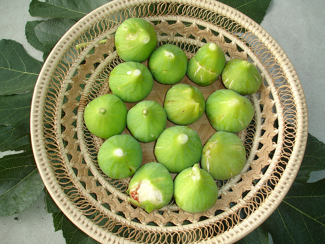 Come preparare i fichi caramellati con la ricetta romagnola