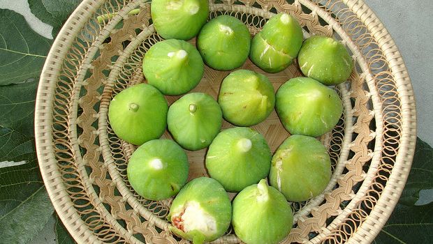 Ecco i fichi caramellati in agrodolce con la ricetta facile