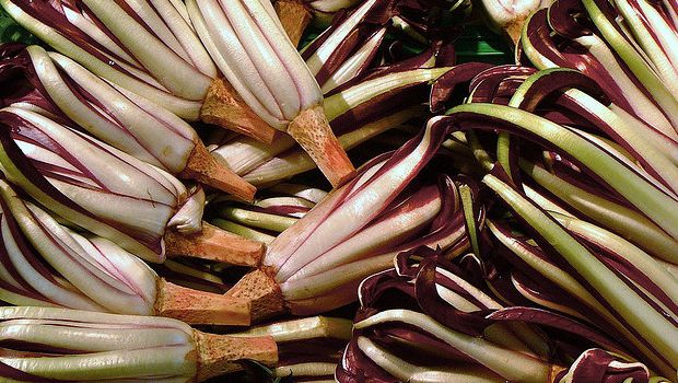 Il radicchio in padella con pangrattato per un contorno sfizioso