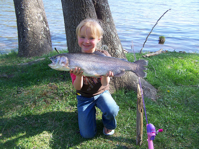 Come cucinare il pesce e farlo mangiare anche ai bambini