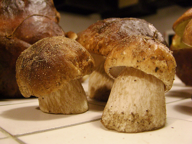 Funghi porcini con patate al forno per un contorno ricco