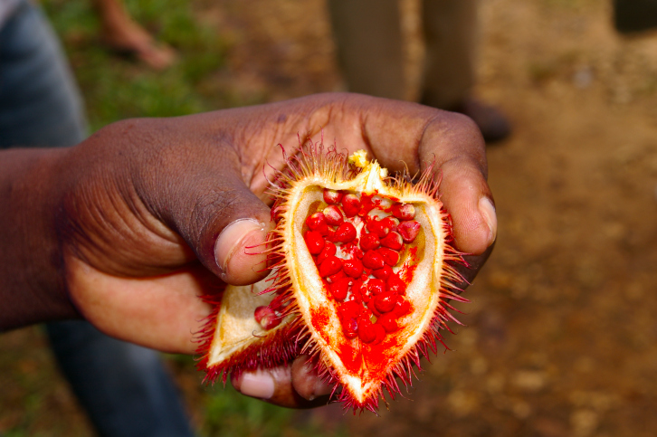 L’annatto, ricette e proprietà della spezia delicata che colora gli alimenti