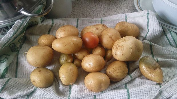 Le patate al forno con la ricetta di Cotto e Mangiato