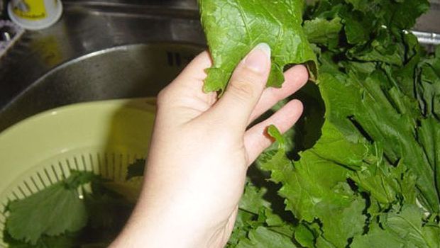 Le cime di rapa alla napoletana per un contorno gustoso