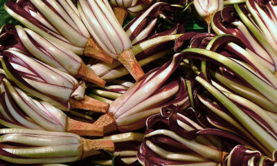 Il radicchio in padella con formaggio per un secondo sfizioso