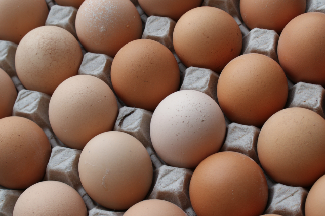 Uova sode al microonde: la ricetta facile e veloce