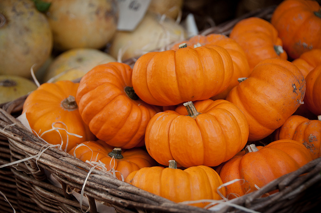 Ecco la pasta alla zucca e funghi secchi per un primo gustoso