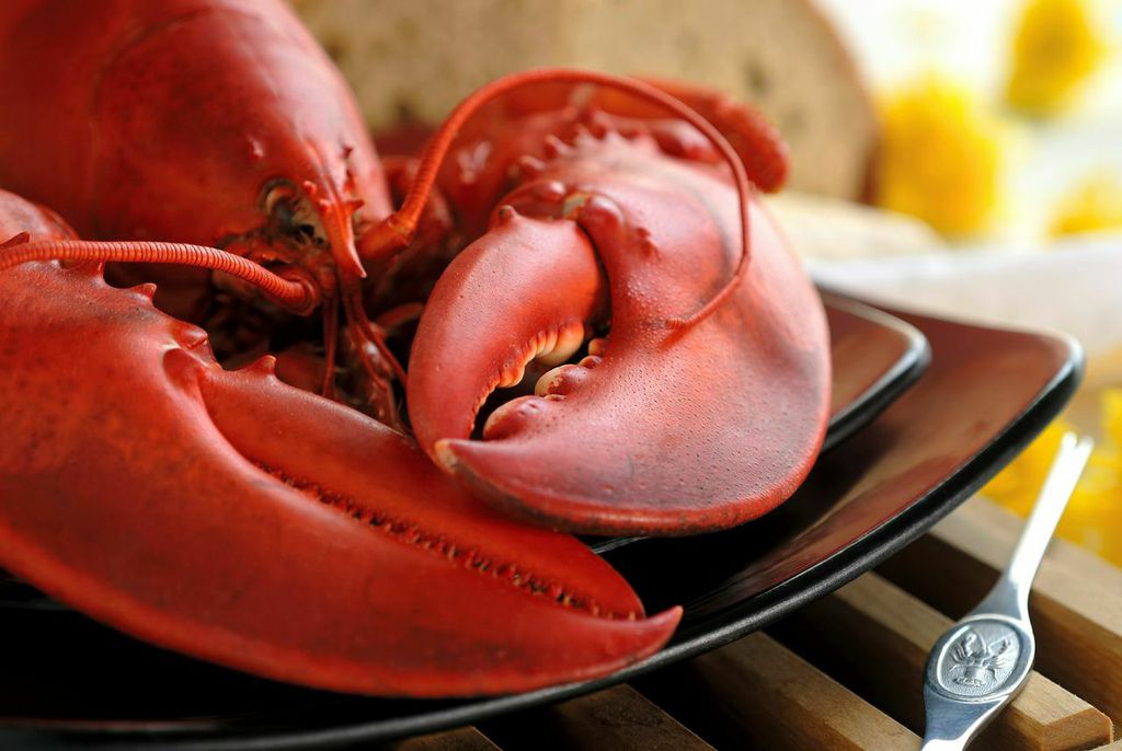 L&#8217;aragosta in bellavista con la ricetta per il pranzo di Natale