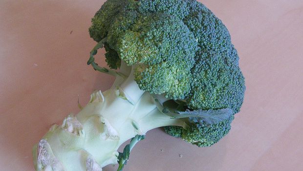 Ecco la pasta ai broccoli e besciamella al forno con la ricetta facile