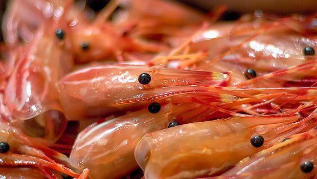 L&#8217;insalata di gamberi da preparare per Natale