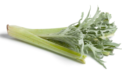 Come cucinare i cardi