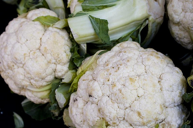 La pasta al cavolfiore e besciamella al forno con la ricetta facile