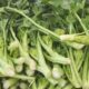 Come si puliscono le cime di rapa