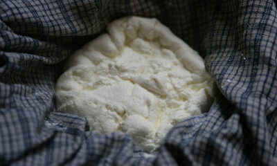 La ricotta fatta in casa, ecco la ricetta e i consigli di Gustoblog