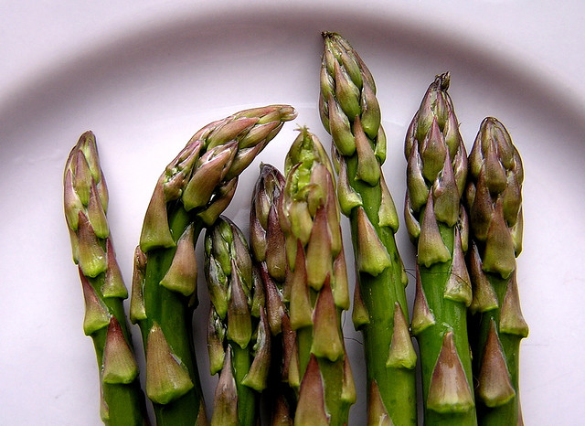 Gli asparagi con besciamella e prosciutto con la ricetta facile