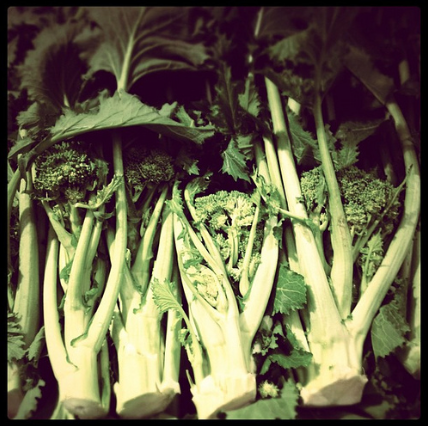 Cime di rapa in padella con la salsiccia: la ricetta veloce e saporita