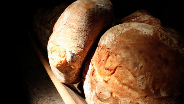 Pane con miele e noci: la ricetta con il Bimby