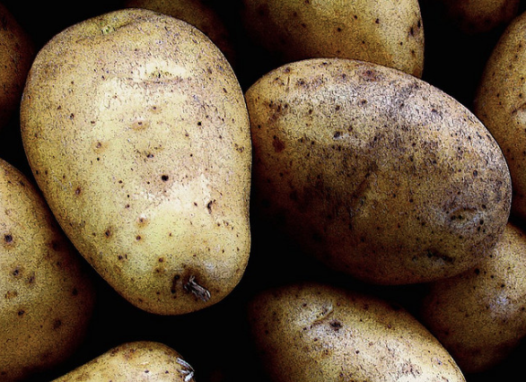 Patate novelle al burro e salvia: la ricetta facile e sfiziosa