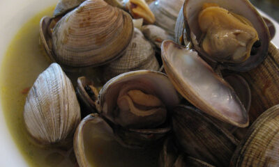 Come fare le vongole alla marinara con la ricetta facile
