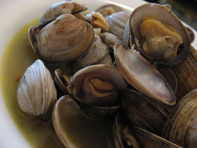 Crema di zucchine con vongole: la ricetta delicata di Benedetta Parodi