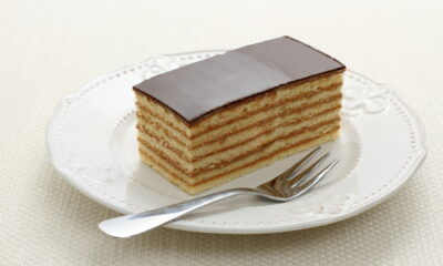 ricetta base della bavarese