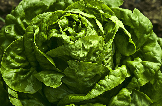 Insalata proteica vegana: la ricetta light e sfiziosa