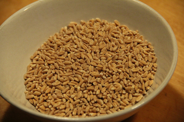 Farro freddo con verdure grigliate con la ricetta leggera