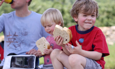5 panini creativi per l'estate